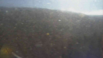 Snímek 7.11.2025 v 12:00