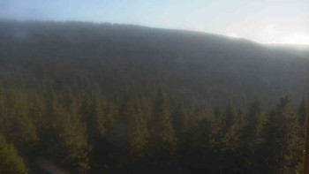 Snímek 7.11.2025 v 14:30