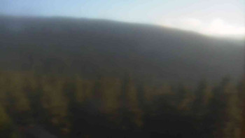 Snímek 7.11.2025 v 15:00