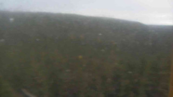 Snímek 8.11.2025 v 12:00