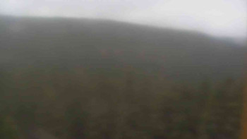 Snímek 8.11.2025 v 13:30