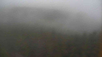 Snímek 8.11.2025 v 14:00