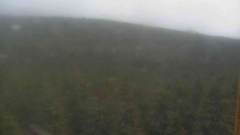 Snímek 8.11.2025 v 15:30