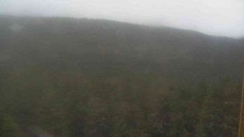 Snímek 8.11.2025 v 16:00