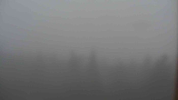 Snímek 9.11.2025 v 15:30