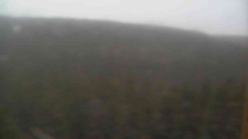 Snímek 15.11.2025 v 16:00