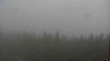 Snímek 16.11.2025 v 16:00