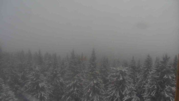 Snímek 18.11.2025 v 12:00