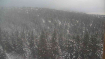 Snímek 21.11.2025 v 16:00