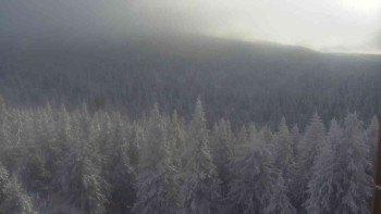 Snímek 22.11.2025 v 14:00