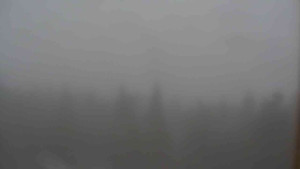 Sporthotel Kurzovní - Vysoké hole - 7.12.2025 v 14:00 Sporthotel Kurzovní - Vysoké hole - 7.12.2025 v 14:00