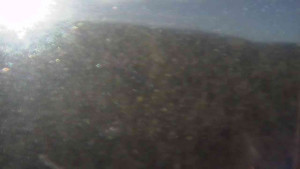 Sporthotel Kurzovní - Vysoké hole - 18.12.2025 v 09:30 Sporthotel Kurzovní - Vysoké hole - 18.12.2025 v 09:30