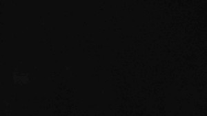 Sporthotel Kurzovní - Vysoké hole - 1.1.2026 v 04:00 Sporthotel Kurzovní - Vysoké hole - 1.1.2026 v 04:00