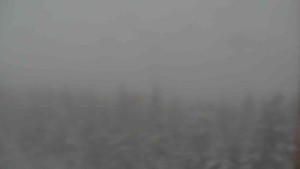 Sporthotel Kurzovní - Vysoké hole - 1.1.2026 v 08:00 Sporthotel Kurzovní - Vysoké hole - 1.1.2026 v 08:00