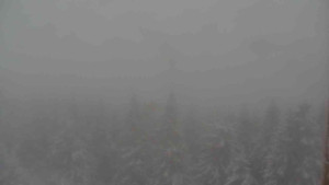 Sporthotel Kurzovní - Vysoké hole - 1.1.2026 v 13:00 Sporthotel Kurzovní - Vysoké hole - 1.1.2026 v 13:00