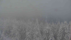 Sporthotel Kurzovní - Vysoké hole - 4.1.2026 v 08:30 Sporthotel Kurzovní - Vysoké hole - 4.1.2026 v 08:30