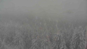 Sporthotel Kurzovní - Vysoké hole - 4.1.2026 v 09:00 Sporthotel Kurzovní - Vysoké hole - 4.1.2026 v 09:00