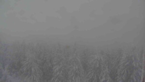 Sporthotel Kurzovní - Vysoké hole - 4.1.2026 v 10:00 Sporthotel Kurzovní - Vysoké hole - 4.1.2026 v 10:00