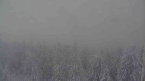 Sporthotel Kurzovní - Vysoké hole - 4.1.2026 v 10:30 Sporthotel Kurzovní - Vysoké hole - 4.1.2026 v 10:30