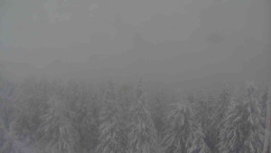 Sporthotel Kurzovní - Vysoké hole - 4.1.2026 v 11:30 Sporthotel Kurzovní - Vysoké hole - 4.1.2026 v 11:30