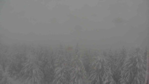 Sporthotel Kurzovní - Vysoké hole - 4.1.2026 v 12:00 Sporthotel Kurzovní - Vysoké hole - 4.1.2026 v 12:00