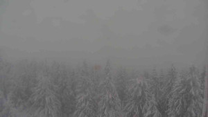 Sporthotel Kurzovní - Vysoké hole - 4.1.2026 v 12:30 Sporthotel Kurzovní - Vysoké hole - 4.1.2026 v 12:30