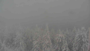 Sporthotel Kurzovní - Vysoké hole - 4.1.2026 v 13:30 Sporthotel Kurzovní - Vysoké hole - 4.1.2026 v 13:30