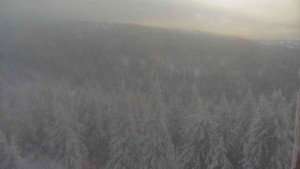 Sporthotel Kurzovní - Vysoké hole - 5.1.2026 v 12:30 Sporthotel Kurzovní - Vysoké hole - 5.1.2026 v 12:30