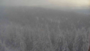 Sporthotel Kurzovní - Vysoké hole - 5.1.2026 v 13:30 Sporthotel Kurzovní - Vysoké hole - 5.1.2026 v 13:30