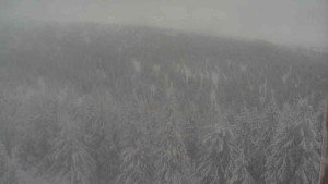 Sporthotel Kurzovní - Vysoké hole - 5.1.2026 v 14:30 Sporthotel Kurzovní - Vysoké hole - 5.1.2026 v 14:30