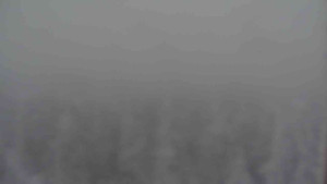 Sporthotel Kurzovní - Vysoké hole - 31.1.2026 v 11:00 Sporthotel Kurzovní - Vysoké hole - 31.1.2026 v 11:00