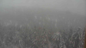 Sporthotel Kurzovní - Vysoké hole - 14.2.2026 v 16:00 Sporthotel Kurzovní - Vysoké hole - 14.2.2026 v 16:00