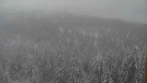 Sporthotel Kurzovní - Vysoké hole - 19.2.2026 v 10:30 Sporthotel Kurzovní - Vysoké hole - 19.2.2026 v 10:30