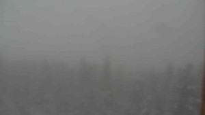 Sporthotel Kurzovní - Vysoké hole - 17.3.2026 v 08:30 Sporthotel Kurzovní - Vysoké hole - 17.3.2026 v 08:30