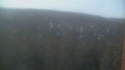 Vysoké hole