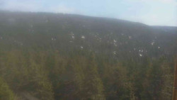 Vysoké hole