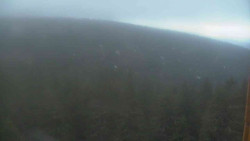 Vysoké hole