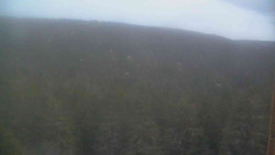 Vysoké hole