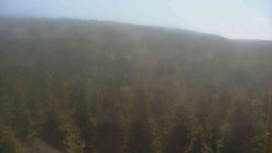 Vysoké hole