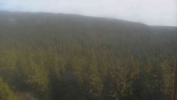 Vysoké hole