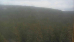 Vysoké hole