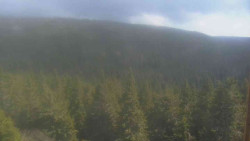 Vysoké hole