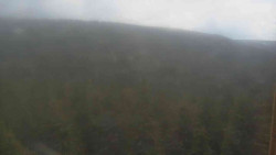 Vysoké hole