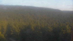 Vysoké hole
