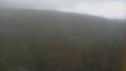 Vysoké hole