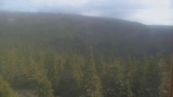 Vysoké hole