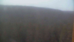 Vysoké hole