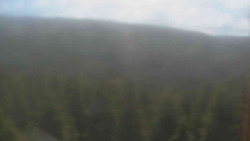 Vysoké hole