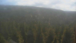 Vysoké hole
