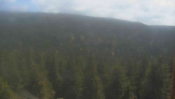 Vysoké hole